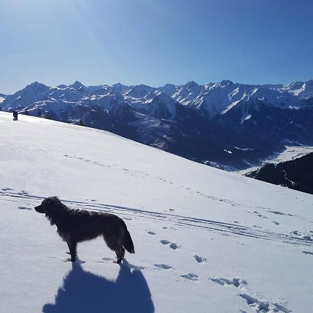 Cordial Sport Hotel Going Going am Wilden Kaiser المظهر الخارجي الصورة