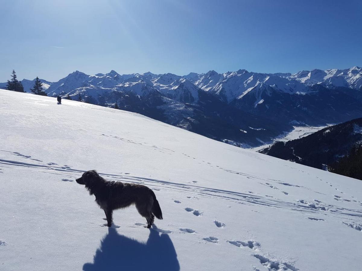Cordial Sport Hotel Going Going am Wilden Kaiser المظهر الخارجي الصورة
